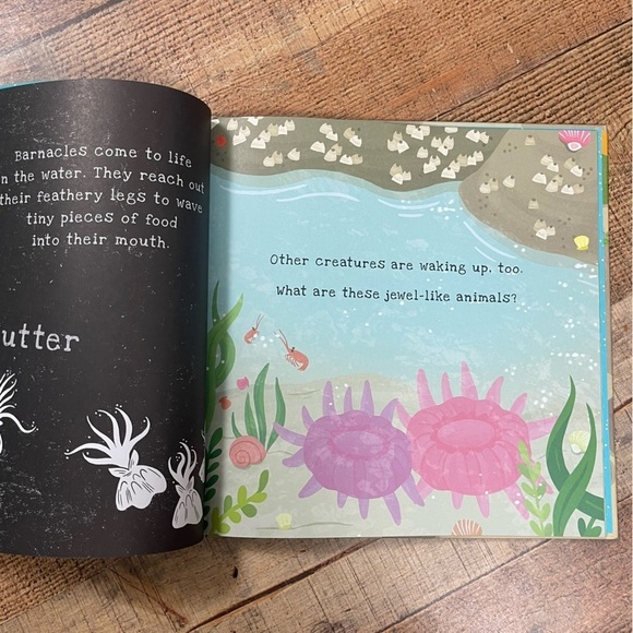 NEW Usborne Shine A Light Bundle Seashore Rainforest Ocean Beach Nature Outdoor - Picture 3 of 6